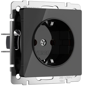 Изображение Розетка с заземлением (черный акрил) W1171048