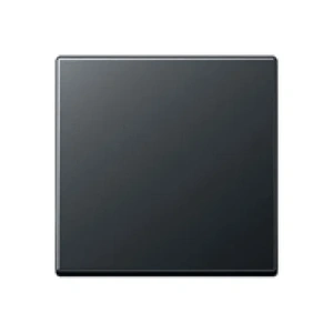 Изображение Клавиша для выключателя ECO Profi антрацит EP490AN Jung